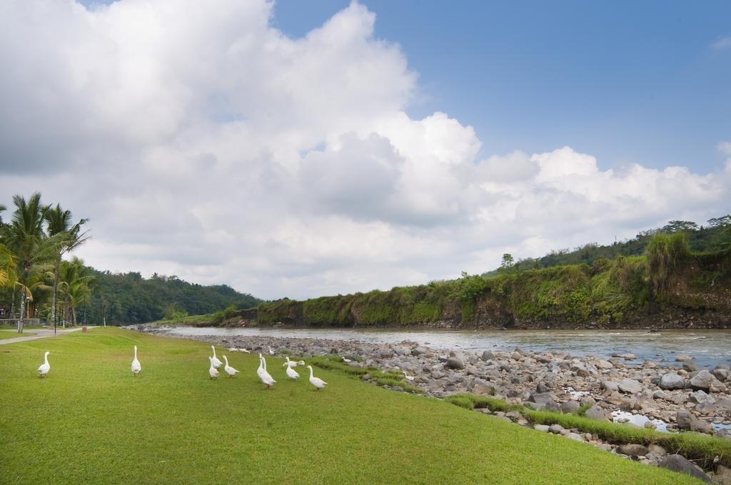 Puri Asri Hotel & Resort Magelang Dış mekan fotoğraf